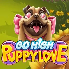 Try Go High Puppy Love slot by RubyPlay on betrepublics.pl – logo image
